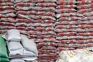 توزیع ۶۰۰ تن برنج وارداتی با نرخ مصوب دولتی در استان آغاز شد