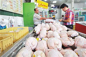مردم گیلان نباید نگران تأمین مرغ باشند&#47; ذخیره‌سازی کافی اقلام مصرفی انجام شده است