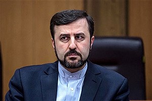 نتایج مذاکرات ایران و آژانس امشب منتشر خواهد شد