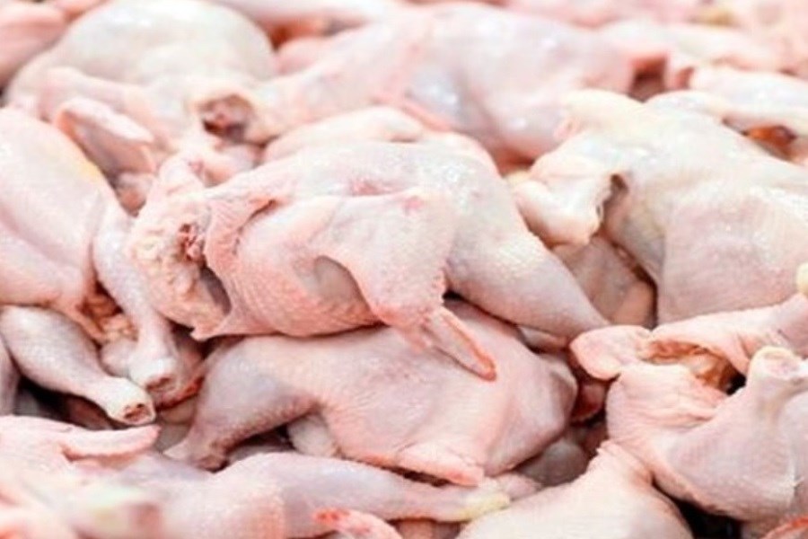 صف های طولانی در کرج به خاطر قیمت  مصوب مرغ