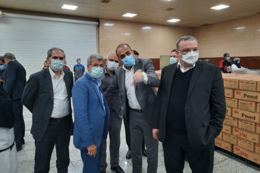 مدیران ارشد بانک ملی ایران از یک طرح صنعتی بازدید کردند