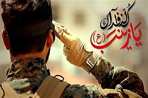 دیوار نگاره شهدای مدافع حرم کشور در باغ موزه همدان رونمایی شد