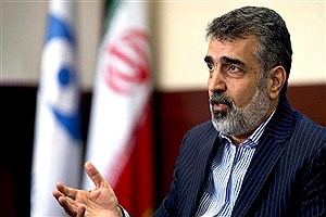 کمیته فنی مذاکرات وین هنوز فعال نیست&#47; زمان به نفع ایران است