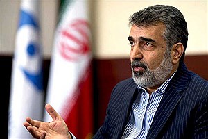ایران تعهدی به پاسخگویی در برابر مدارک جعلی ندارد