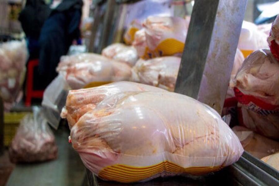تصویر ۸۰ تن مرغ منجمد در ایام نوروز توزیع میشود