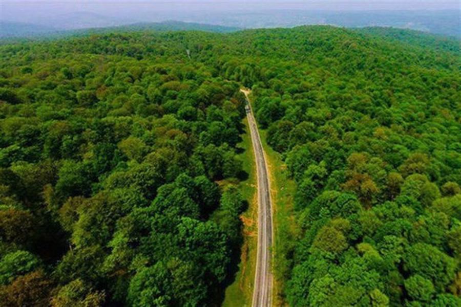 تصویر جاده های جنگلی تهدیدی برای اکوسیستم هیرکانی