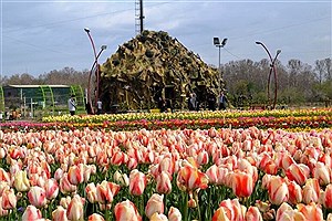 کاشت ۳ میلیون بوته گل در فضای شهر ارومیه