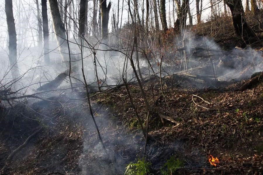تصویر مسافران و شهروندان از روشن کردن آتش در عرصه‌های جنگلی خودداری کنند