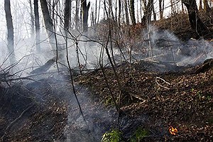 مسافران و شهروندان از روشن کردن آتش در عرصه‌های جنگلی خودداری کنند