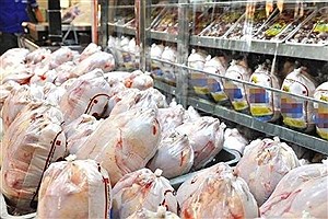 توقیف ۷۰۰ کیلوگرم مرغ خارج از شبکه در اسفراین