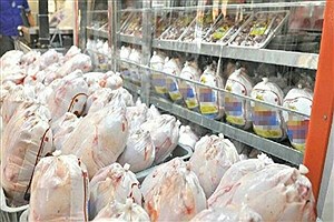 توزیع روزانه بیش از ۲۰۰ تن گوشت مرغ در نقاط مختلف استان مرکزی آغاز شد