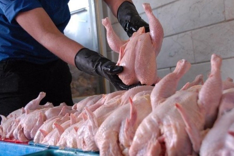 ضرورت نظارت قانونی بر تامین مرغ در آذربایجان‌غربی