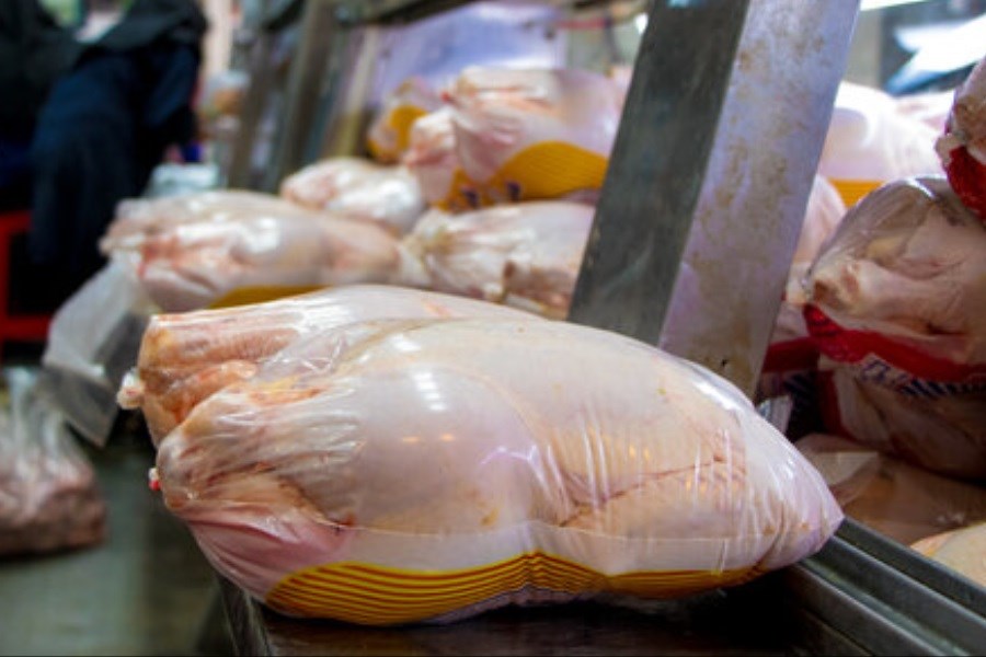 تصویر بیش از ۵۶۱ تن گوشت مرغ گرم در سطح بازار عرضه شد