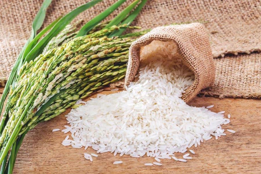 کاهش ضایعات برنج در سال جدید با مدرن سازی 70 کارخانه برنجکوبی