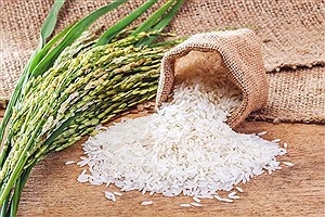 کاهش ضایعات برنج در سال جدید با مدرن سازی 70 کارخانه برنجکوبی