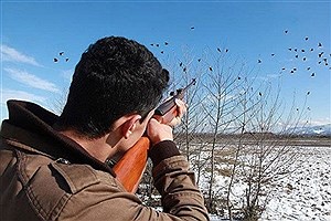 تمدید ممنوعیت شکار در هشت منطقه استان