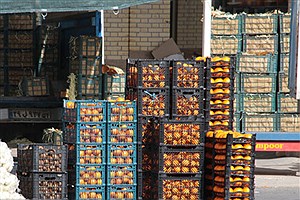 جدیدترین قیمت میوه در بازار