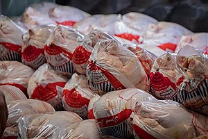 معدوم سازی سه‌هزار و ۵۰۰ کیلوگرم مرغ منجمد غیر بهداشتی در خمین