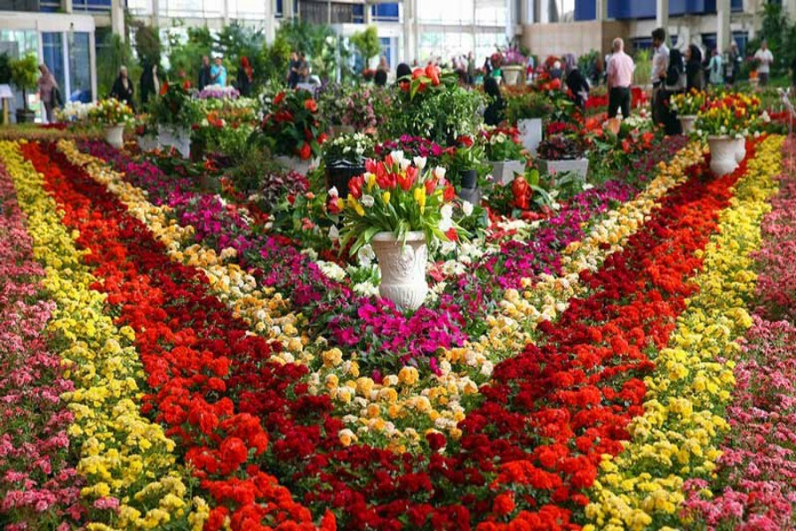 تصویر ۵۴۰ میلیون واحد انواع گل و گیاه زینتی در محلات تولید شد