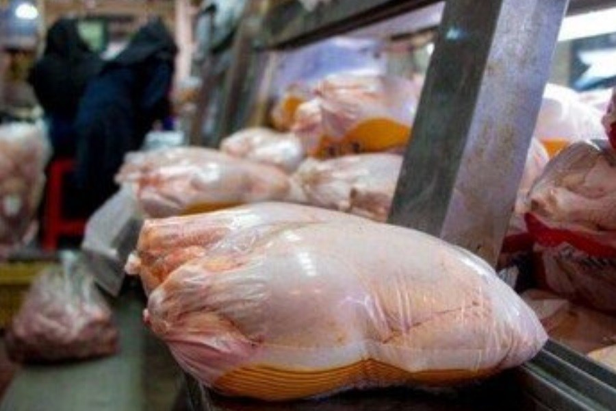 تصویر افزایش ١٠٠ درصدی قیمت مرغ