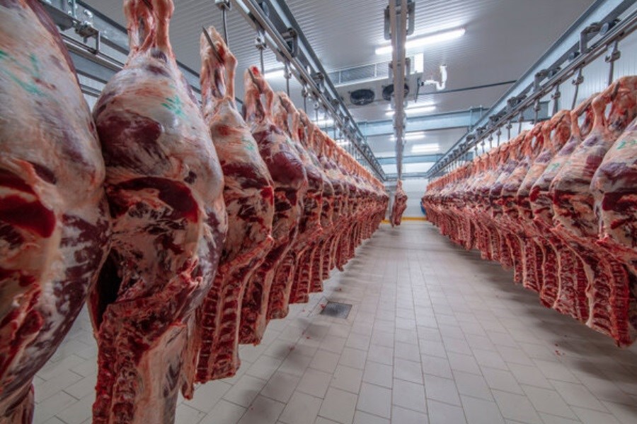 تصویر حداکثر قیمت گوشت گوساله ۱۲۰ هزار تومان است