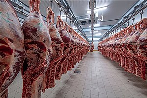 حداکثر قیمت گوشت گوساله ۱۲۰ هزار تومان است