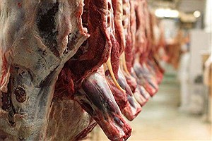 علت روند کاهشی قیمت گوشت قرمز