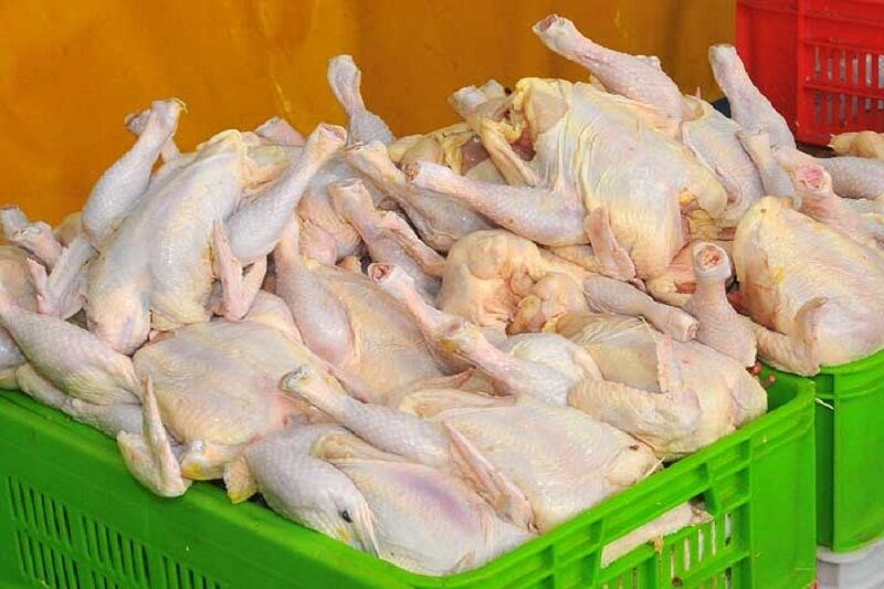 تصویر کشف 11 تن مرغ قاچاق در اردبیل