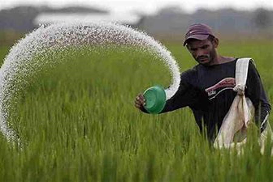 تصویر دولت برای تامین کود و سم به کشاورزان سوبسید پرداخت کند