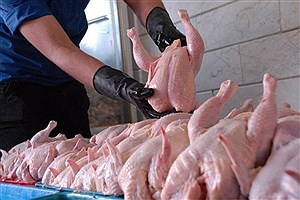 تشکیل 127پرونده در زمینه تخلف واحدهای کشتار و توزیع مرغ