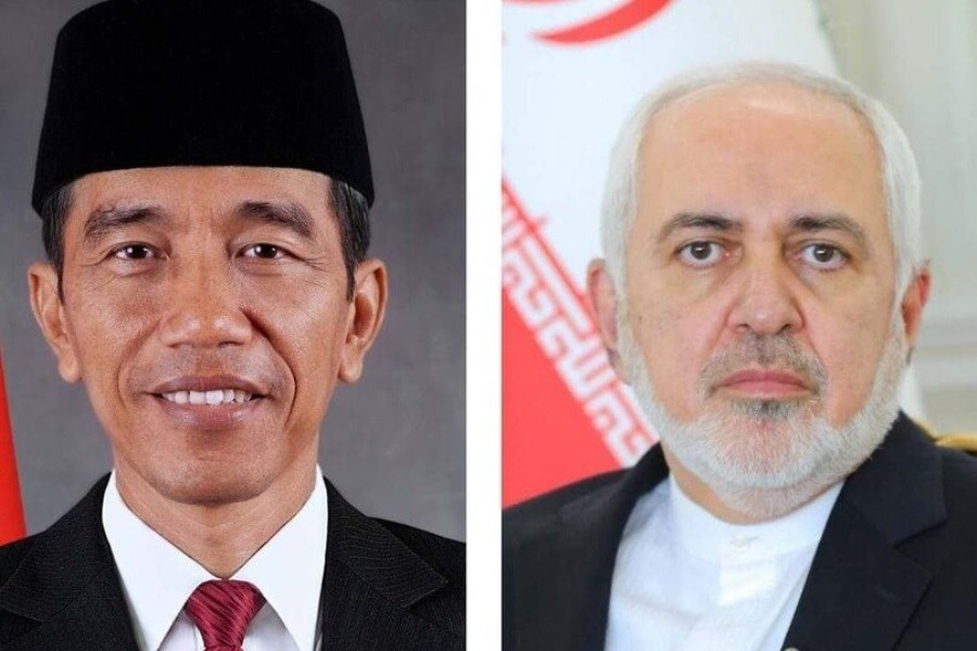جزئیات دیدار ظریف با رییس‌جمهوری اندونزی