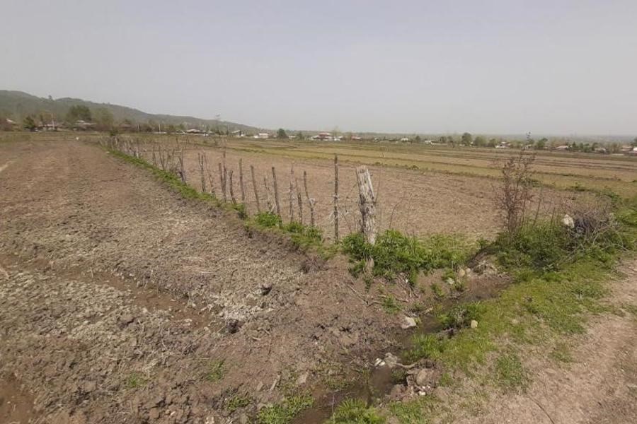 تصویر کشاورزان ماسالی از خشکسالی گسترده رنج می‌برند.&#47; مسئولان در پی یافتن مقصرند