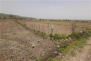 کشاورزان ماسالی از خشکسالی گسترده رنج می‌برند.&#47; مسئولان در پی یافتن مقصرند