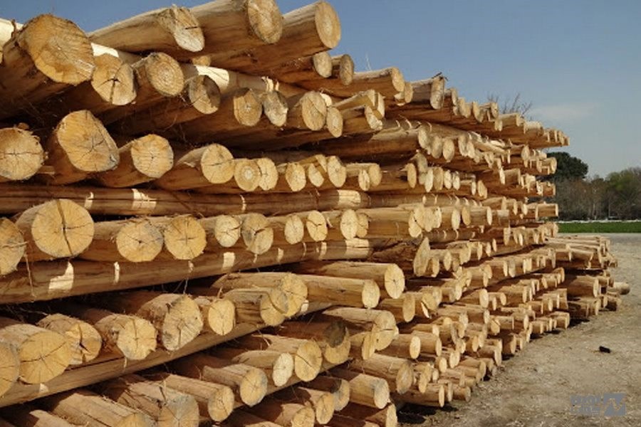 محموله ۱۰ تنی چوب قاچاق کشف شد