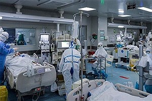 روند افزایشی بستری بیماران کرونایی در مراکز درمانی خراسان رضوی