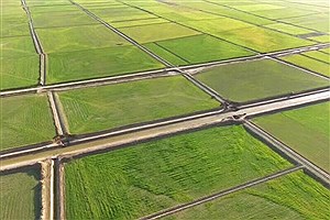 فرسایش خاک تهدیدی جدی برای اراضی کشاورزی گیلان