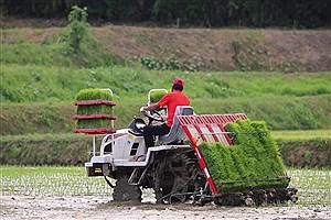 آغاز نخستین نشاء مکانیزه برنج سال زراعی جدید در گیلان