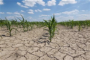 کمک 3 هزار میلیارد تومانی دولت برای جبران خسارات خشکسالی