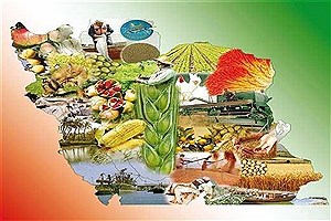 مخالفت تشکل های بخش کشاورزی با مصوبه هیئت وزیران برای واگذاری تعاون روستایی