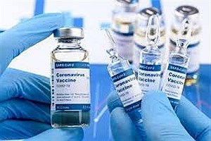 اجرای مرحله سوم واکسن انستیتو فنیلا با مشارکت انستیتو پاستور ایران در استان