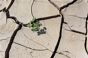مدیریت بحران اقدامات اضطراری خشکسالی را مدنظر قرار می‌دهد