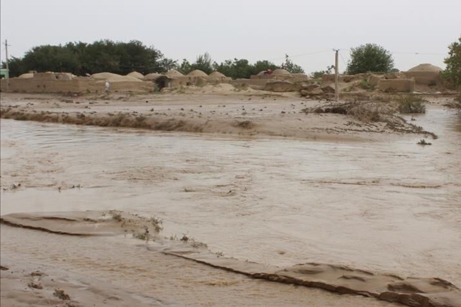 تصویر در سیلاب هرات 12 نفر را آب برد