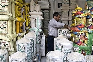 تلاش دولت برای خارج کردن بازار برنج مازندران از رکود