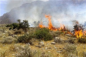 ادامه آتش‌سوزی در کوه‌های باغ تاژ دشتستان بوشهر
