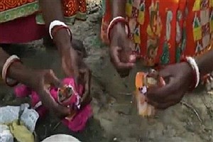 مراسم ازدواج قورباغه ها در هند!