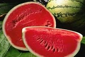 هندوانه، میوه ای با خاصیت ضد سرطانی
