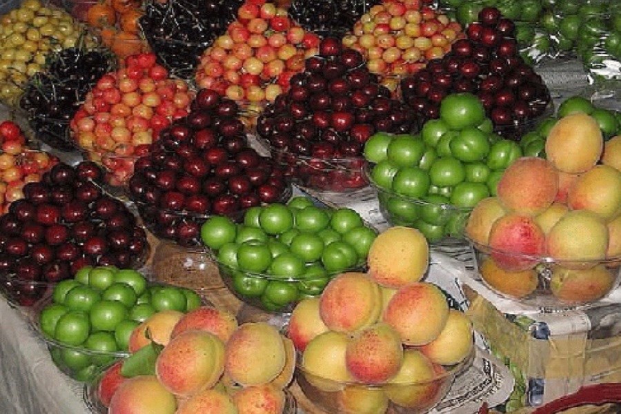 میوه‌های فصل برای خانواده‌ها چقدر هزینه دارد؟