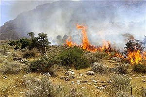 ادامه آتش‌سوزی در منطقه باشت کهگیلویه و بویراحمد