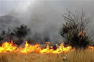عوامل انسانی مسبب ۷۵ درصد آتش‌سوزی‌های مراتع &#47; طارم، زنجان و ماهنشان قربانگاه های اصلی