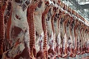 کاهش قیمت گوشت گوسفند